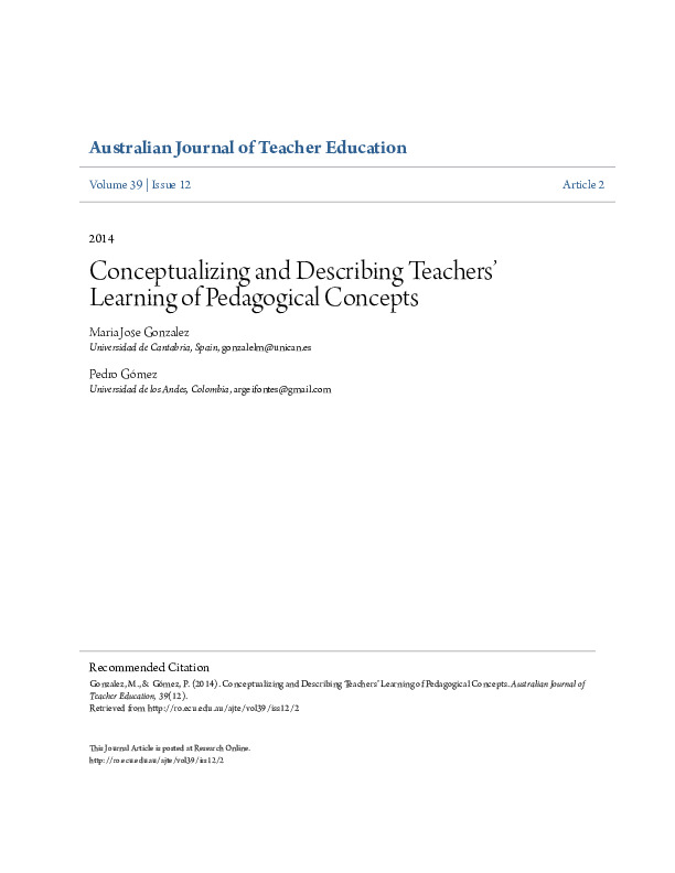 Conceptualizing and describing teachers’ learning of pedagogical ...